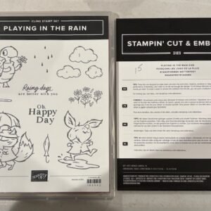 Playing in the Rain