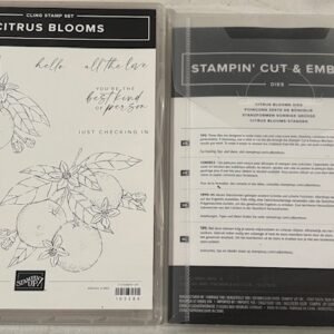 Citrus Blooms